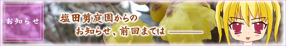 広島県で植木の剪定は樹木の医者、塩田剪庭園。お知らせ、前回までは