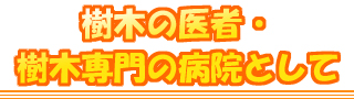 樹木の医者・樹木専門の病院として